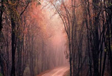 近期很多pos机刷卡不秒到，拉卡拉不受影响！